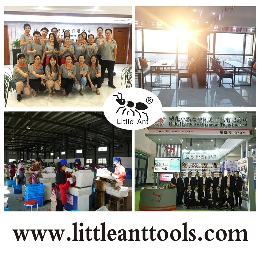China Little Ant Trapezoid Grinding Shoes / Floor Grind Plate