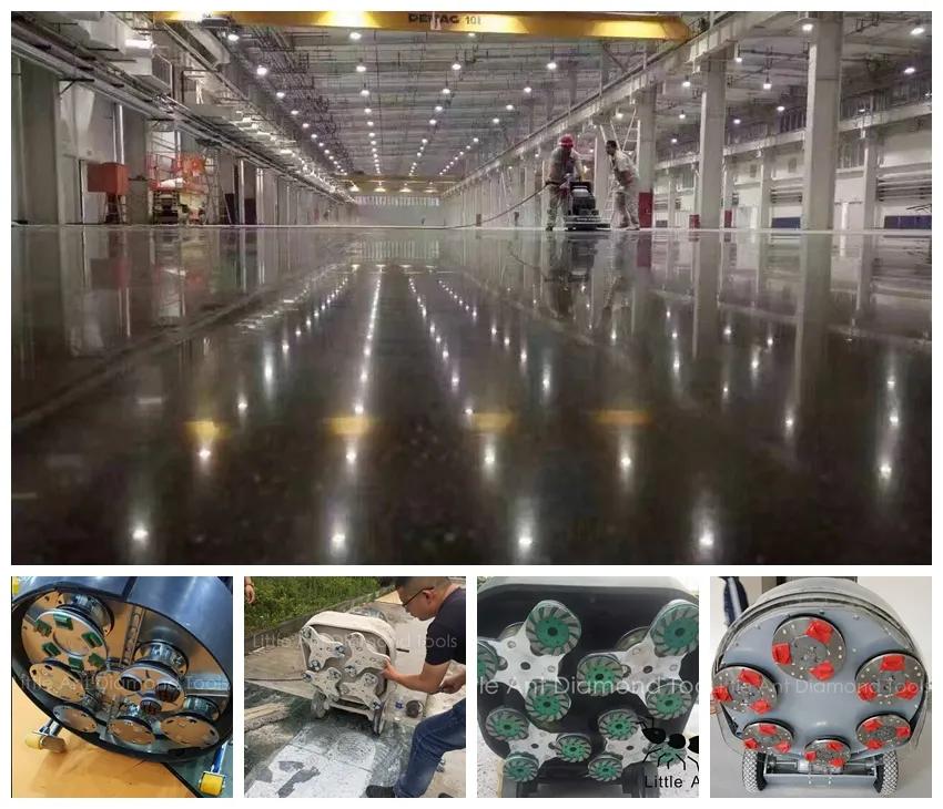 China Little Ant Trapezoid Grinding Shoes / Floor Grind Plate