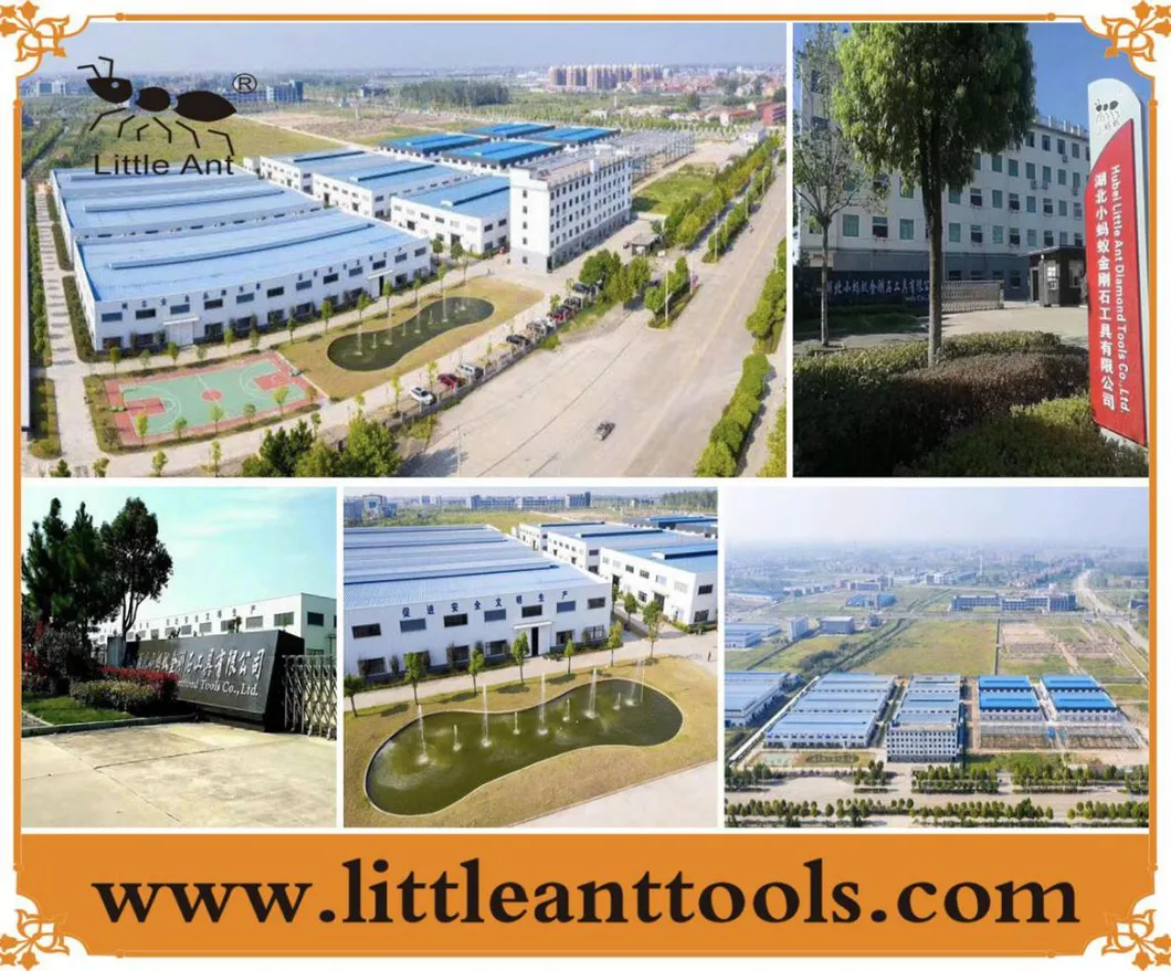 Diamond Grinding Shoes Plates for Concrete/Terrazzo Floor with Metal Bond