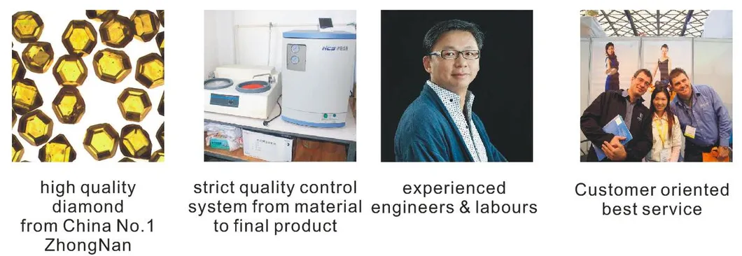 Tuck Point Saw Blade/Diamond Saw Blade/Diamond Cutting Blade/Mortar Raking Blades/Diamond Tools/Cutting Disc/Diamond Blade/Circular Saw Blade/Crack Chasers